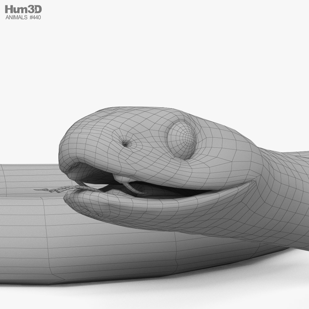 Grass Snake 3D model - Baixar Animais no