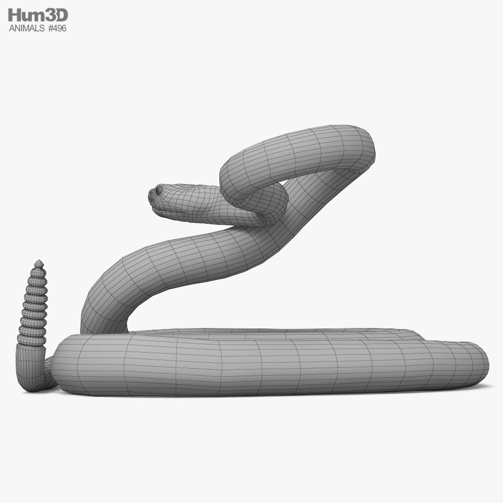 Rattle Snake 3D Model Game Ready - Team 3d Yard