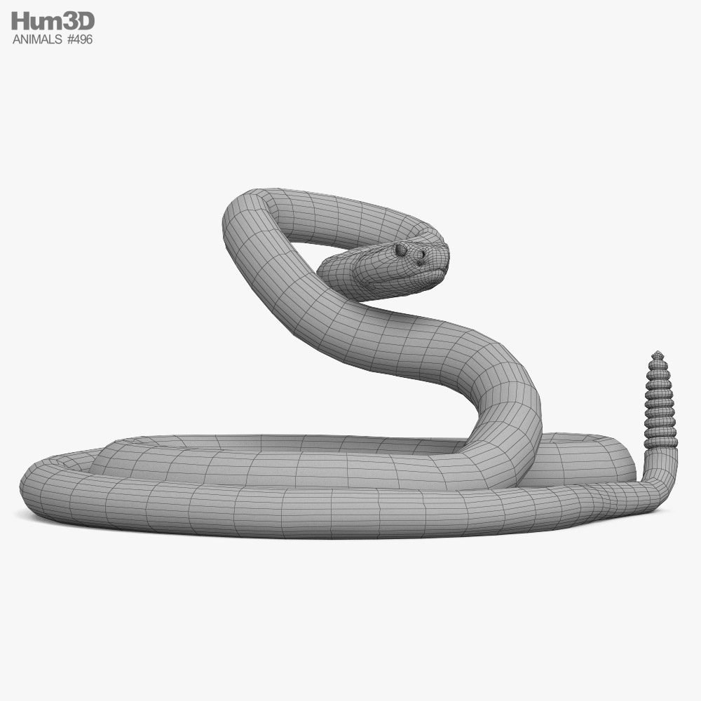 Snake and Rattlesnake - 3D model by McGybeer on Thangs
