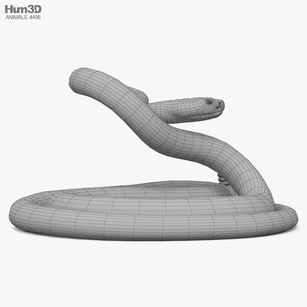 Snake and Rattlesnake - 3D model by McGybeer on Thangs