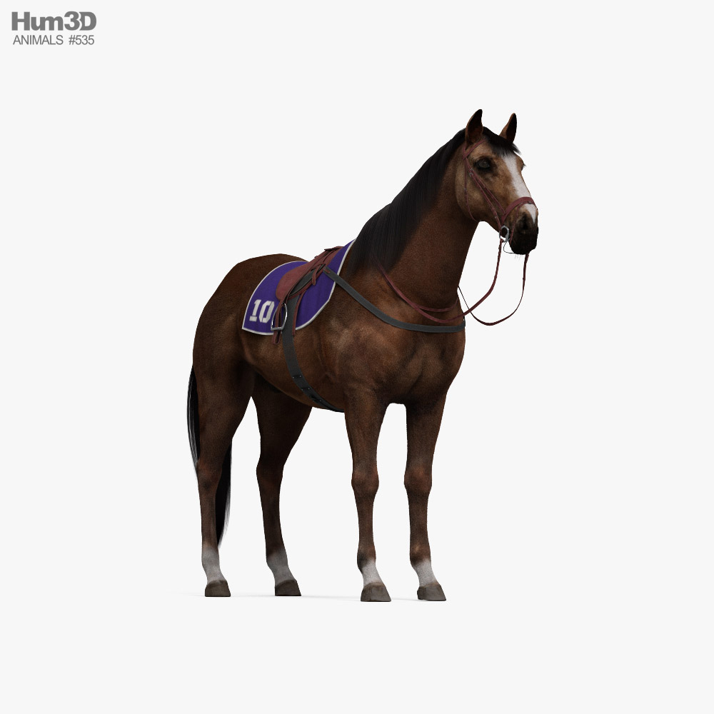 Cavalo de corrida realista Modelo 3D - TurboSquid 1133352
