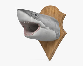 Голова акулы 3D модель