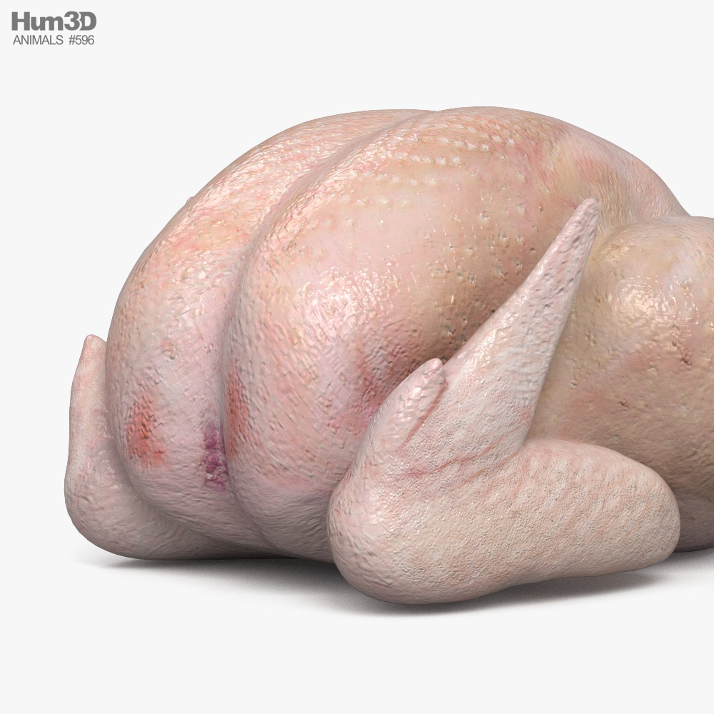 Raw chicken breast Stock 3D asset