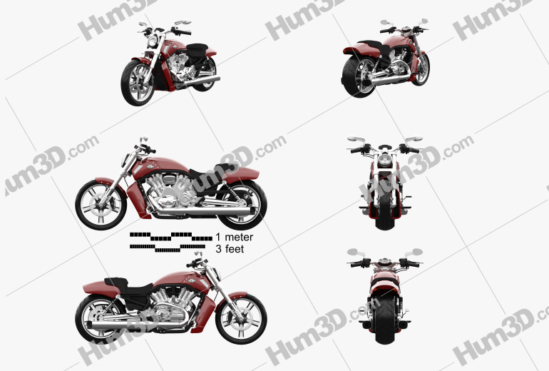 Harley-Davidson V-Rod Muscle 2010 Blueprint Template