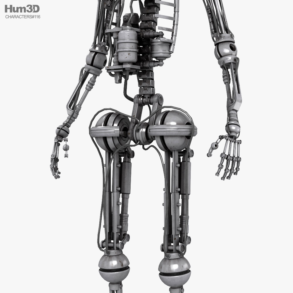 Cyborg hembra aparejada Modelo 3D $189 - .max - Free3D