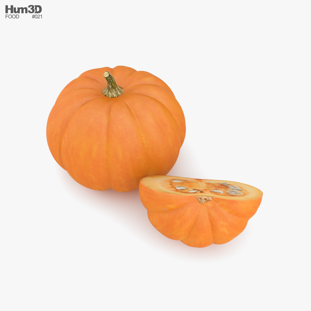 Pumpkin Model From Melon Playground - Download Free 3D model by  MelonVestrey (@MelonVestrey) [34909cb]