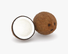 코코넛 3D 모델 