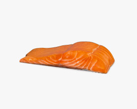 Salmon Fillet 3D model