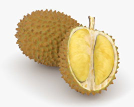 Durian 3D-Modell