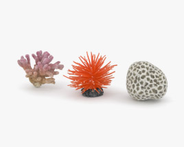 Коралл 3D модель