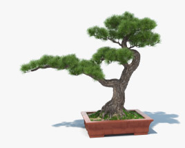 盆栽の木 3Dモデル