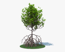 Mangrove Modèle 3D