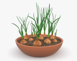 양파 식물 3D 모델 