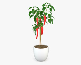 Перец чили растение 3D модель