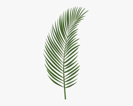 Folha de palmeira Modelo 3d