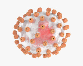 Lassa-Virus 3D-Modell