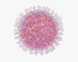 Rotavirus 3D model