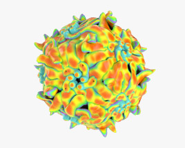 Adeno-assoziiertes Virus 3D-Modell