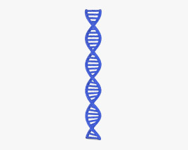 DNA Modello 3D